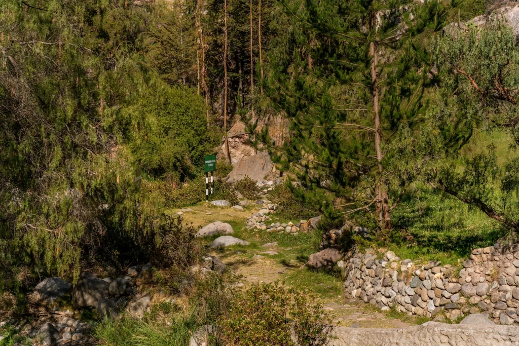 Tarata Inca Senderos – Ticaco, Qhapaq Ñan