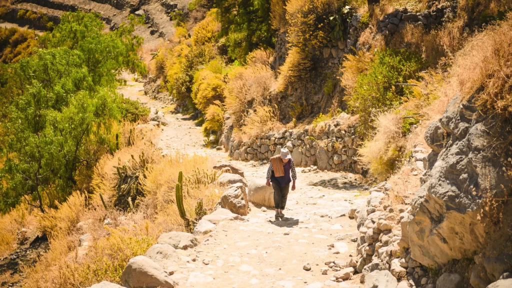Camino Inca Tarata – Ticaco, Qhapaq Ñan