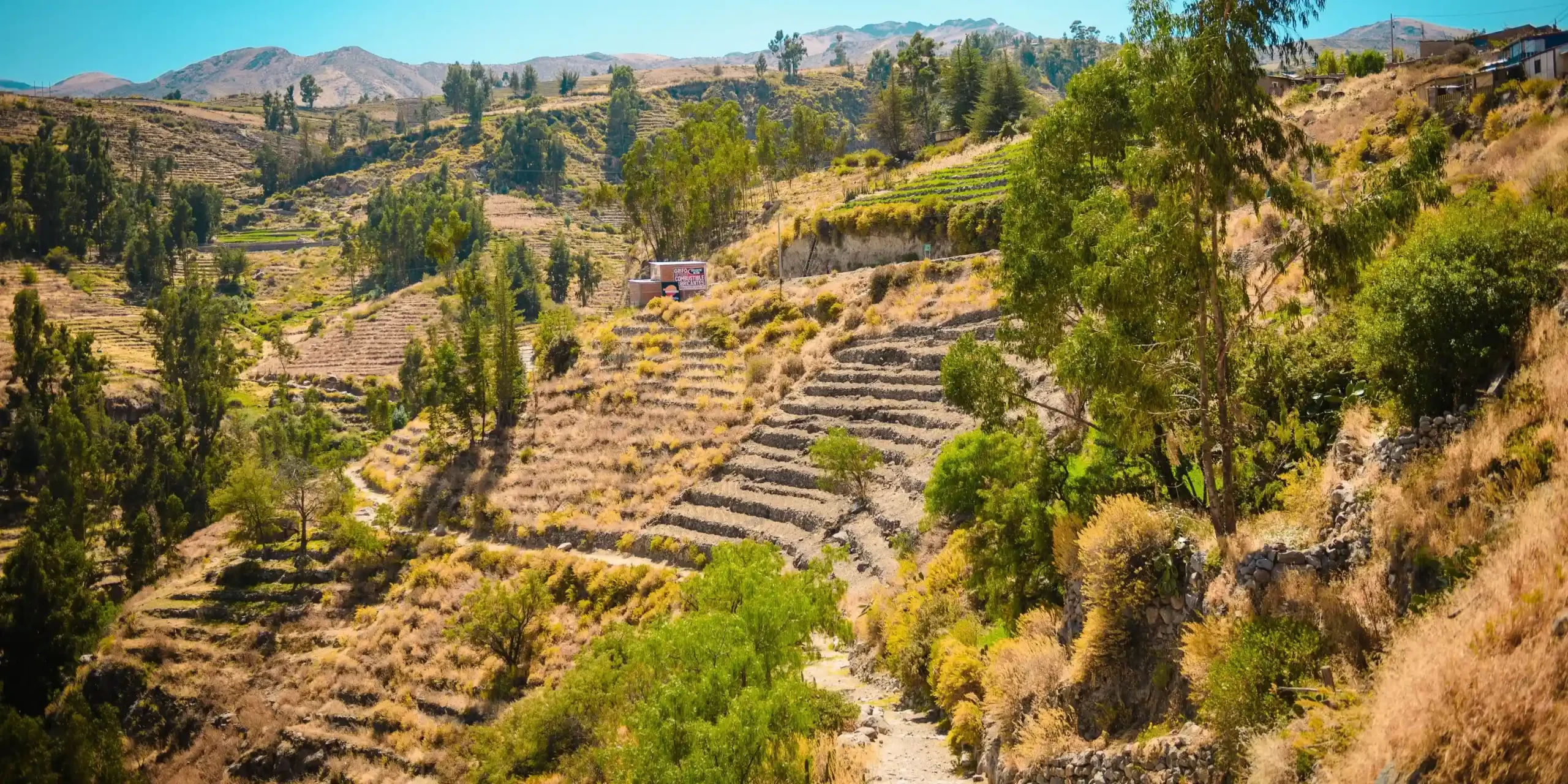 Camino Inca andenería
