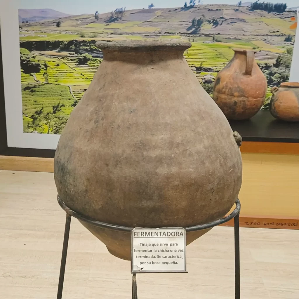 Fermentadora - Tarata - Sala de interpretación