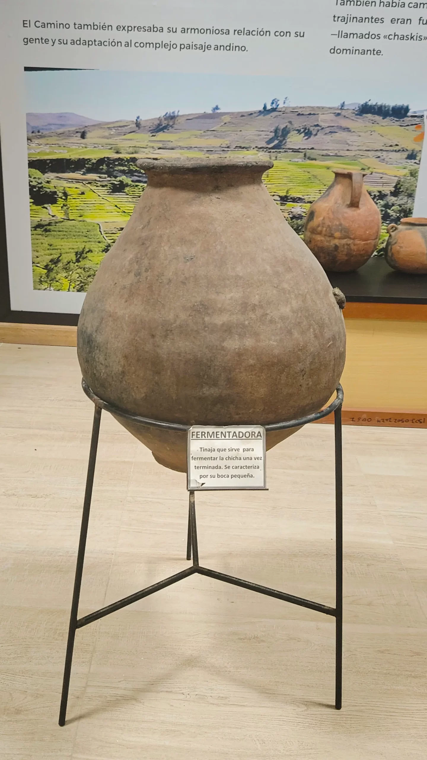 Fermentadora - Tarata - Sala de interpretación