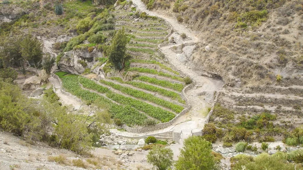 Tarata época prehispánica
