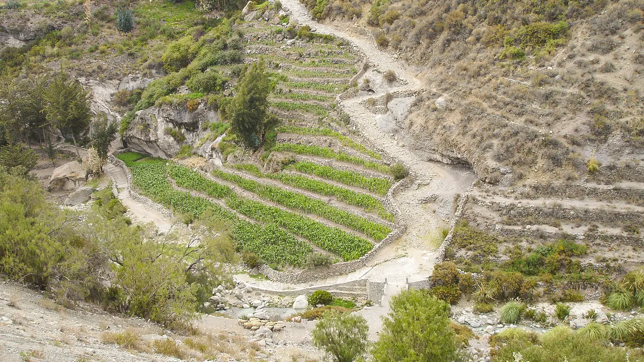 Tarata época prehispánica